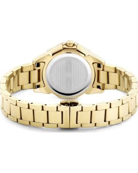 Cerruti Jesina CIWLG0008902 - 