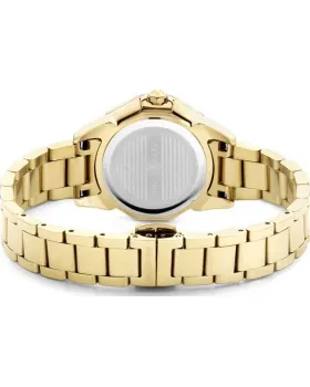 Cerruti Jesina CIWLG0008902, όψη 3