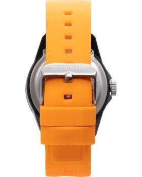 Caterpillar Landscape LN16027137 - 