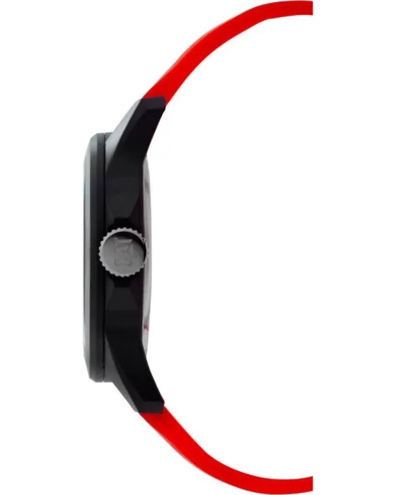 Caterpillar Landscape LN16028138 - 