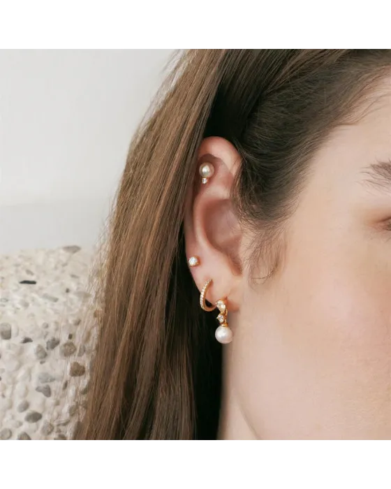 Σκουλαρίκι Ania Haie Pearl with Sparkling Accent Barbell E070-14G - 