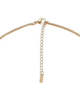 Κολιέ U.S. Polo Assn. JW6073NK - 