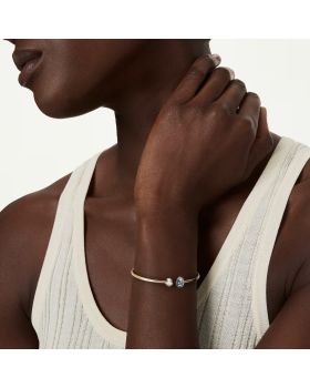 Βραχιόλι Swarovski Chroma - 