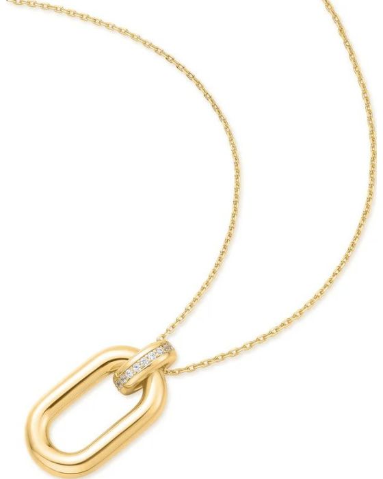 Κολιέ Ania Haie Oval Hoop Pendant N062-01G - 
