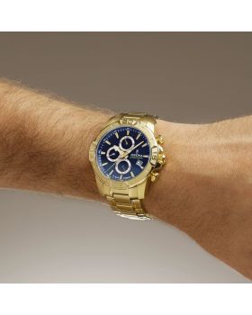 Festina Timeless Chronograph F20705/5 - 