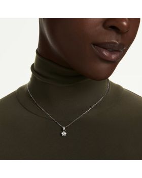 Κολιέ Swarovski Chroma 5759678 - 