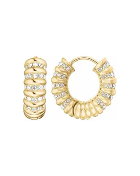 Σκουλαρίκια Rosefield Striped Hoops JESCG-J1280, view 2