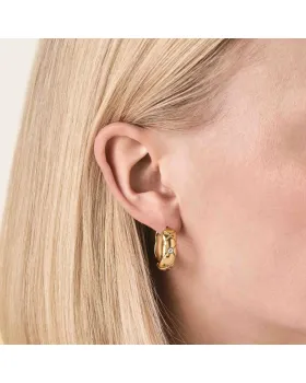 Σκουλαρίκια Rosefield Crystal Star Hoops JECHG-J1353, view 3
