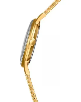 Festina Classic F20251/4, όψη 2