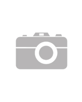 Σκουλαρίκια U.S. Polo Assn. JW5328EA -  Σκουλαρίκια U.S. Polo Assn. JW5328EA -